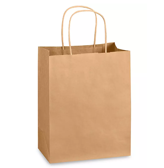KRAFT BAG WITH HANDLE  CP03